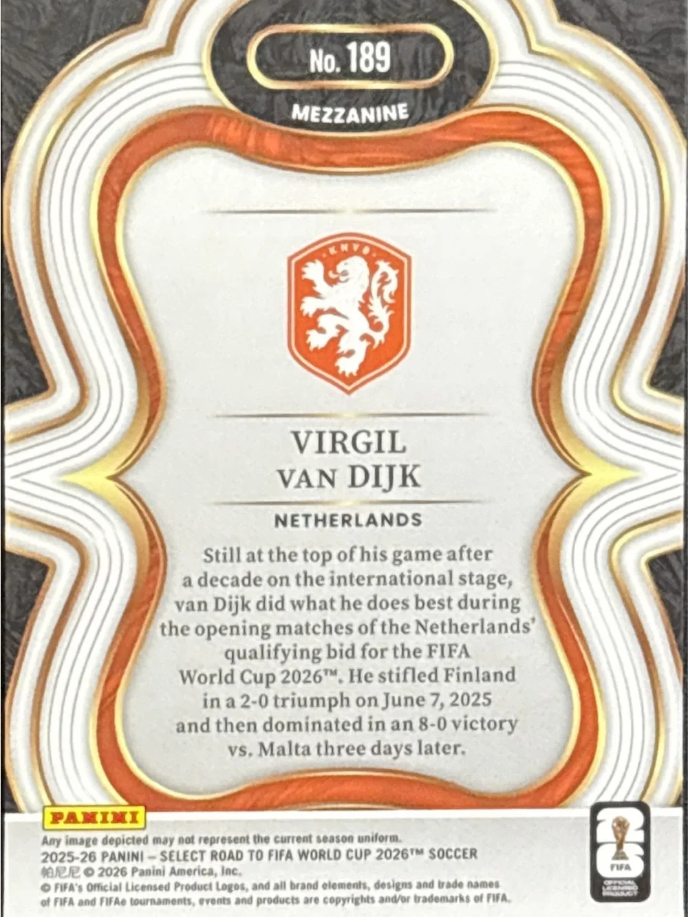 Panini Select Virgil van Dijk  Soccer Trading Card